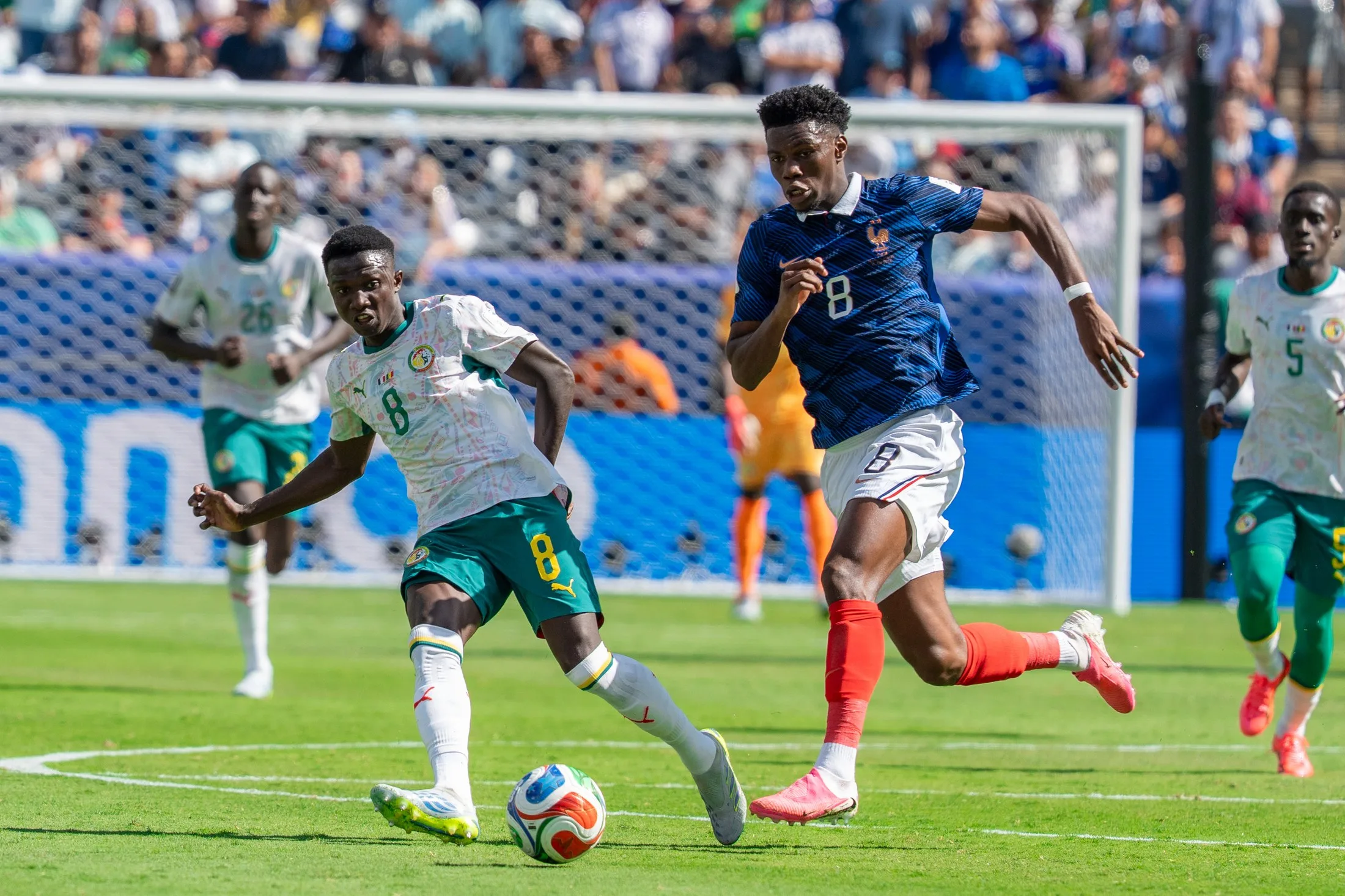 Lamine Camara, de blanco y verde con Senegal, ante un rival de Francia en junio de 2026.