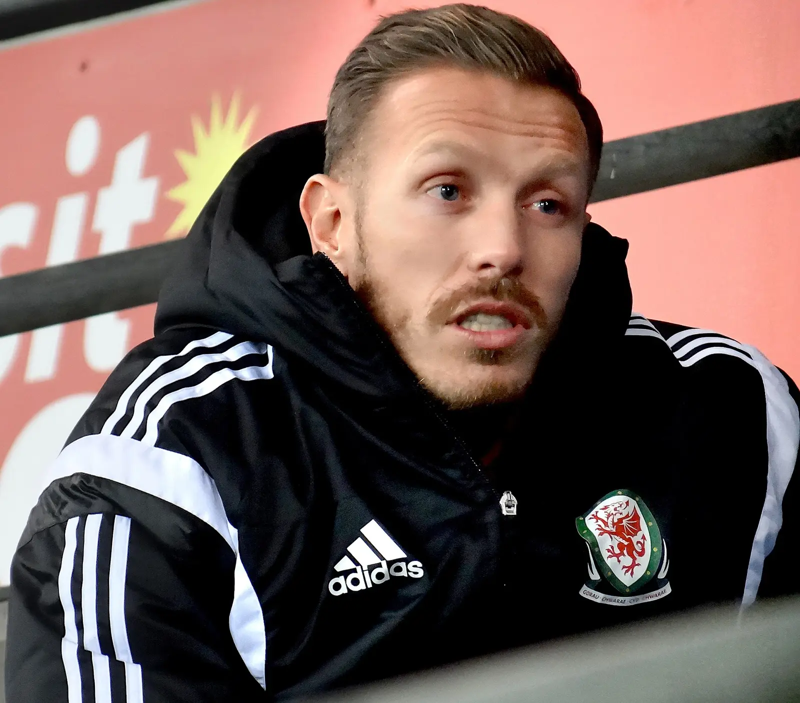 Craig Bellamy, fotografía de archivo.